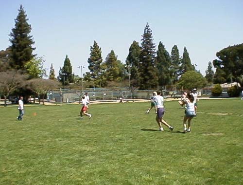 FieldDay-9.jpg (39631 bytes)